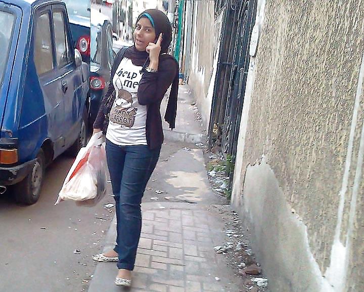 marocaine levrette